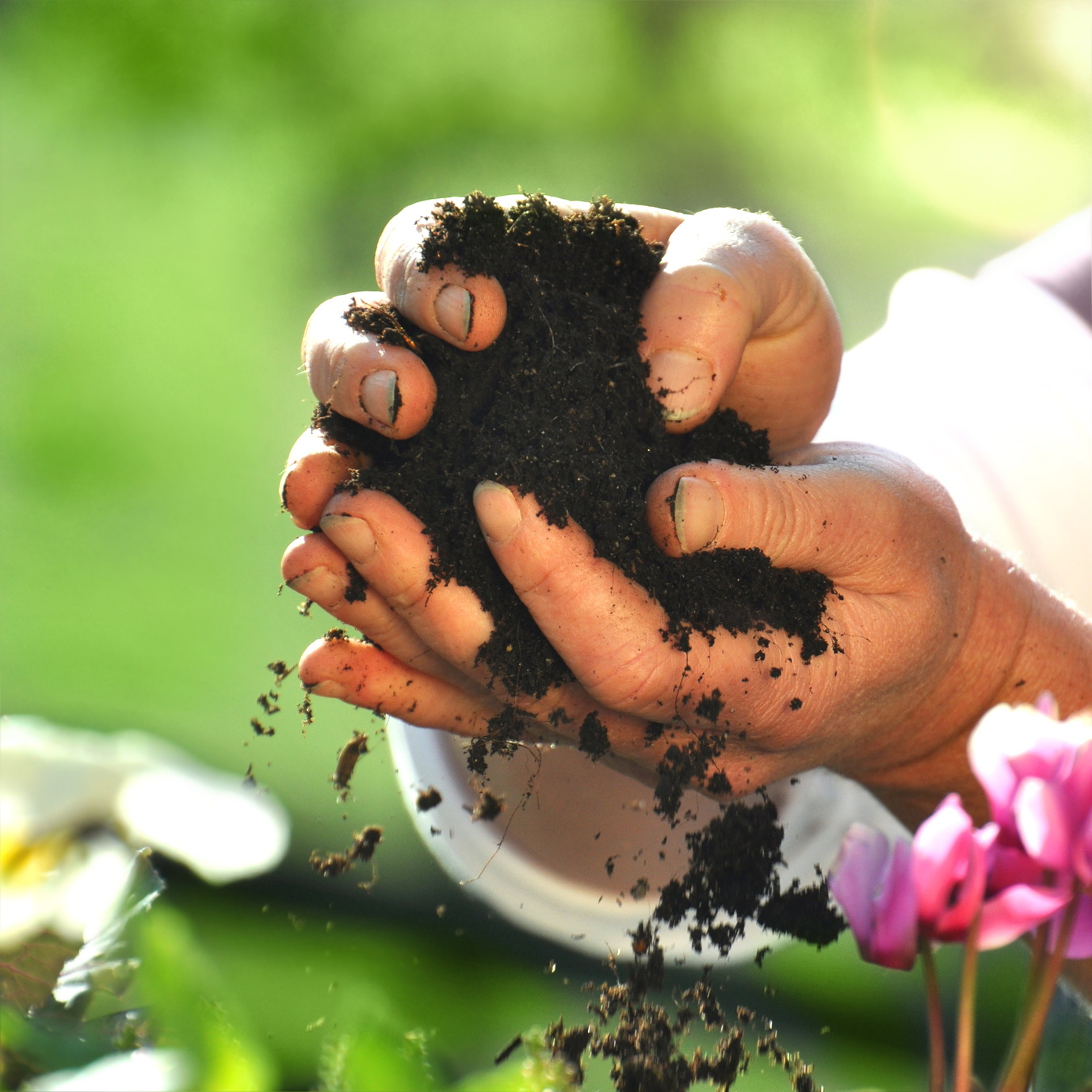 Torf, Erde und Substrate für Gartenbau & Fachhandel